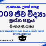 2009 bio