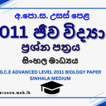 2011 bio