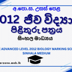 2012 bio marking sm