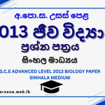 2013 bio