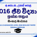 2016 bio
