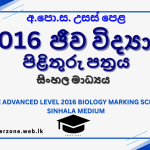 2016 bio marking sm