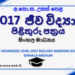 2017 bio marking sm