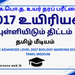 2017 bio marking tm