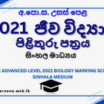 2021 bio marking sm