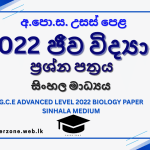 2022 bio