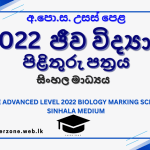 2022 bio marking sm