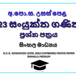 2023 A/L Combined Maths Paper | Sinhala Medium
