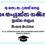 2024 A/L Combined Maths Paper | Sinhala Medium