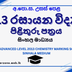 2013 chem marking sm