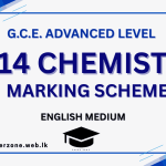 2014 chem marking em