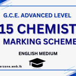 2015 chem marking em