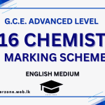 2016 chem marking em