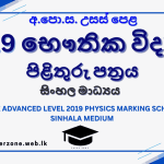 2019 phy marking sm