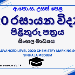 2020 chem marking sm