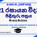 2021 chem marking sm