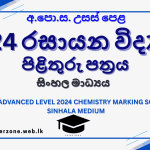 2024 chem marking sm