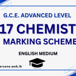 2017 chem marking em