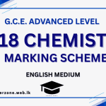 2018 chem marking em