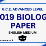 2019 bio p. em