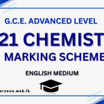 2021 chem marking em