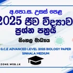 2025-al-physics-paper-sinhala-medium