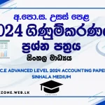 2024 al accounting paper sinhala medium